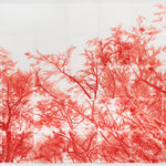 Rodrigo Zamora, Chilean-Argentinean Tower, 2007