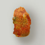 Paula Blanco, La respiración de las semillas, 2025