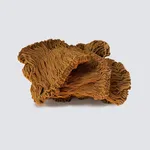 Marie Isabelle Poirier-Troyano, Empreinte, 2019