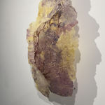 Paula Blanco, La respiración de las semillas, 2025