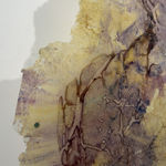 Paula Blanco, La respiración de las semillas, 2025