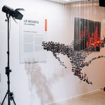 Lola Guerrera, Shelter