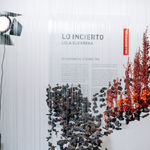 Lola Guerrera, Shelter