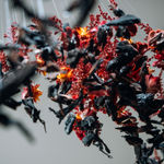 Lola Guerrera, Shelter