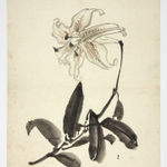 Malerei, #005282 NIWAYAMA KÔEN (1869-1943), Ente im Wasser, 19. / 20. Jahrhundert