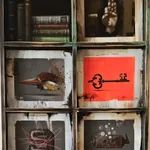 Johnny KMNDZ Rodriguez, Zero (click for details), 2026