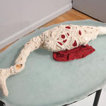 Dhara Rivera, Corralera común (Common Corral), 2020-2021