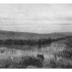 David George, Craster, 2020