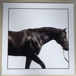 John Reardon, Dubawi, 2009