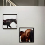 John Reardon, Dubawi, 2009