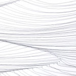 Diane DallasKidd, Tracing Waves, 1.2.22 New Moon Perigee, 2023