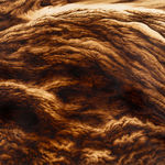 Ava Markle, Untitled, 2023