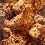 Ava Markle, Untitled, 2023