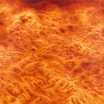 Ava Markle, Untitled, 2023