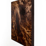 Ava Markle, Untitled, 2023