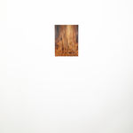 Ava Markle, Untitled, 2023