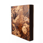 Ava Markle, Untitled, 2023