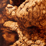 Ava Markle, Untitled, 2023