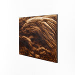 Ava Markle, Untitled, 2023