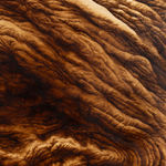 Ava Markle, Untitled, 2023