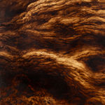 Ava Markle, Untitled, 2023