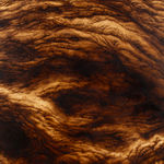 Ava Markle, Untitled, 2023