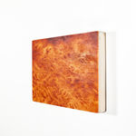 Ava Markle, Untitled, 2023