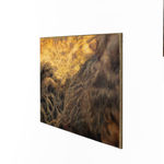 Ava Markle, Untitled, 2023