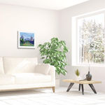 City in Bloom, Original Limited Edition Print, 2024