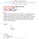 Thumbnail of additional image