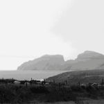 Denise Gosciejew, 102. Heaven, 2012