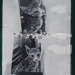 Khalid Jauffer, Did you notice our walls are starting to crack?, 2024