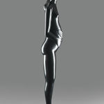 Theo Mackaay, Jockey Horse