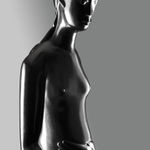 Theo Mackaay, Jockey Horse