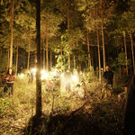 Fernando Velázquez, Outras Naturezas, 2017