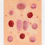 Célio Braga, Still Being Formed, 2022