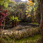 Marcelo Tinoco, Soho tigre, 2009