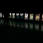 Fernando Velázquez, Outras Naturezas, 2017