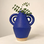 Vicky Oldfield, Wild & Wonderful