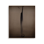 Richard Zinon, Penombra XVI, 2026