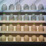 Crystal Leung, Untitled, 2018