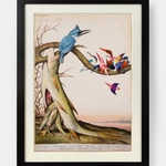 Walton Ford, Baba - B.G., 1997