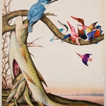 Walton Ford, Baba - B.G., 1997