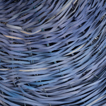 Dee Clements, Grotesque Flowers; Chosen/not chosen, 2024