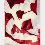 Jamie Nares, Untitled, 1997