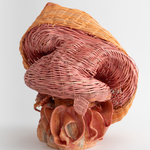 Dee Clements, Grotesque Flowers; Chosen/not chosen, 2024