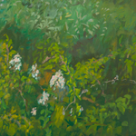 Jane Freilicher, Northern Lights, 1959