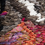 Suchitra Mattai, quicksand, 2023