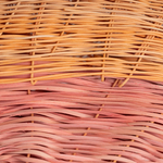 Dee Clements, Grotesque Flowers; Chosen/not chosen, 2024