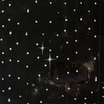 Chris Martin, Speed of Light, 2024